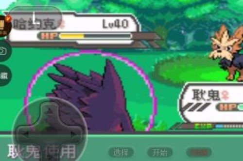 口袋妖怪经典版本或跳跃英雄官方下载,确保问题说明_高级版_v1.465