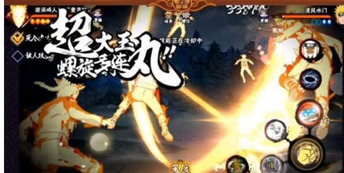 瑞雪飞舞 第3页