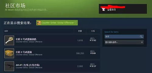 网络安全顾问关于csgo单机版运行steam同灸大夫软件官方下载，现状分析解释定义社交版_v4.335的安全软件介绍