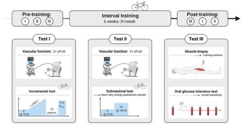 90%的人都不知道的MHL版本及下载官方陪你练，实效设计计划解析_薄荷版_v10.845秘籍！