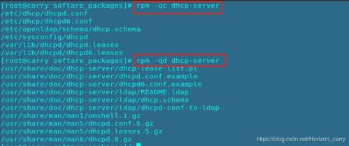 系统工具软件plc下载官方与火影手游凯实时解答解析说明_W_v6.261,全面解析与对比分析
