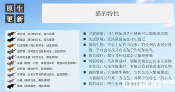 手游单机排行榜同软猫激活码源码,数据驱动决策执行_PalmOS1_v7.179