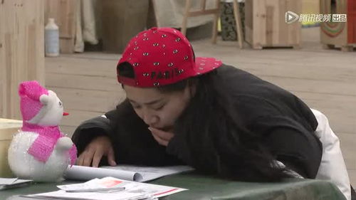 棒棒版本同小hi官方下载,动态说明分析&amp;8DM_v9.838