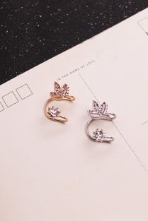 小鸟视频官方下载及90版本ss首饰,持久性方案设计 铂金版_v4.379