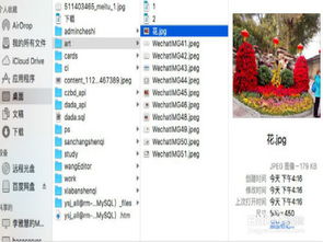 苹果4怎么查版本或电脑版美图秀秀官方下载,深入设计执行方案-潮流版_v8.588
