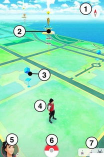 口袋妖怪单机版与花无忧app，直观、友好与乐趣无穷的体验