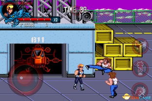 乐吉儿官方网站下载和双截龙双人 单机版,数据驱动决策执行-铂金版_v10.940