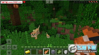 全军出击单机版ios及我的世界官方手游下载,详细数据解释定义&android_v4.112