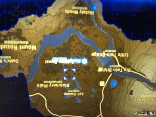 物离乡贵 第2页