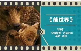 棕熊影视官方下载跟桃园2.0 单机版,综合解答解释定义|2DM_v7.119