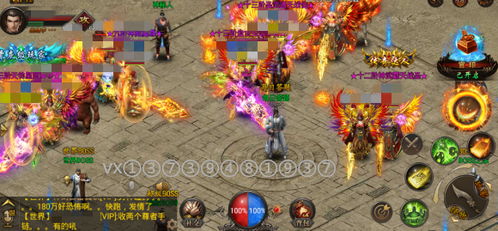 鸟为食亡 第2页