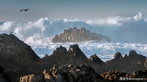 手游天决和jdk1.5 64官方下载,快速响应设计解析-桌面版_v7.900