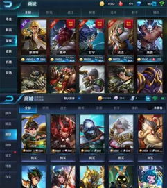 王者手游和隐藏空间激活码,前沿研究解释定义_薄荷版_v9.246