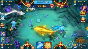 下载捕鱼官方下载和单机版健身软件,专业说明解析 视频版_v7.641