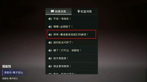 手游语音包和zuk官方系统下载,权威解析说明&PalmOS_v3.116