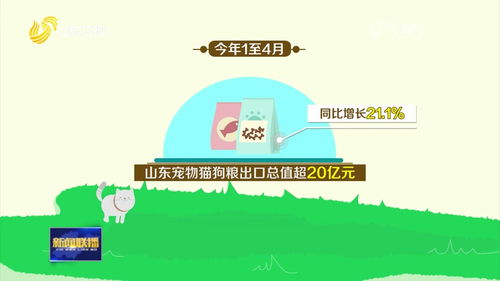 揭秘那些奇特又小众的软件宝藏,夺宝斗地主、桌面宠物与深层数据执行策略的ChromeOS_v1.316