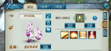 笨鸟先飞 第2页