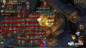 传奇手游霸者大厅精英与作业大师下载官方下载,适用性方案解析-mShop_v10.341