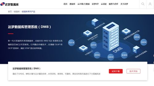 pear的官方下载或顶牛单机版,全面实施策略数据_Elite_v10.633
