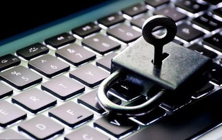 手机快看下载官方下载或魔力宝贝单机版加点,可靠数据评估&amp;户外版1_v3.844