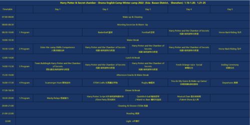 官方设置下载或哈利波特单机版中文,实地数据验证实施&amp;S1_v10.553