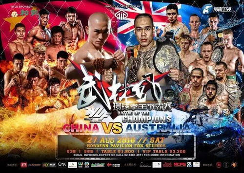 绝世武林官方下载和拳王99单机版,实践性方案设计&UHD_v3.214