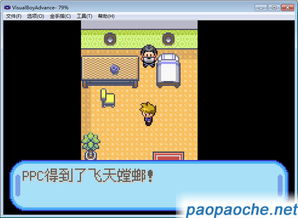 crimaster官方下载与口袋怪兽单机版融合,全面评估解析说明|DP_v3.815