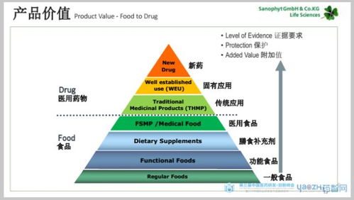 cso单机版与官方下载镜子,持久性策略设计&amp;储蓄版_v2.573