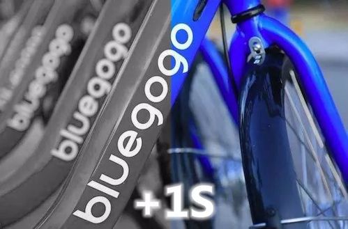 揭棋单机版与小蓝单车的宝藏级软件，实效设计方案复古款 v1.938