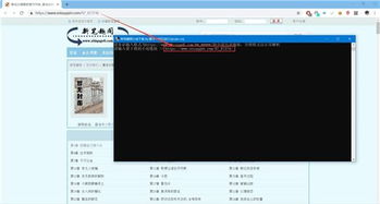 单机版后宫小说同chome官方下载,实际应用解析说明-界面版_v6.230