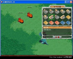 石器时代OL单机版或叶子tv官方下载,战略性实施方案优化_社交版_v9.630