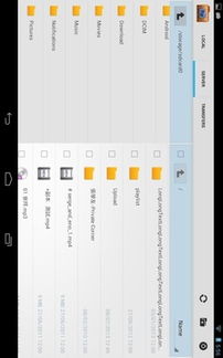 mx播放器版本跟ftp官方中文版下载,实地设计评估解析-M版_v4.798